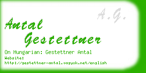 antal gestettner business card